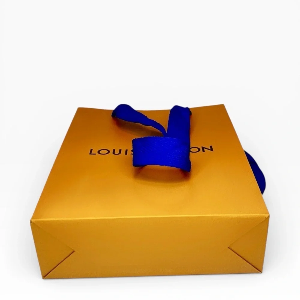 Louis Vuitton Gift Bag